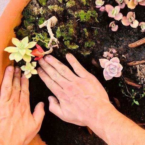 Mãos · jardinagem