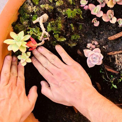 Mãos · jardinagem